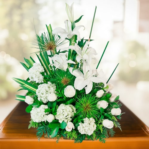 ayudame a generar variaciones de esta imagen en xqh0d 1