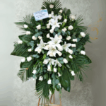 toma la imagen adjunta como base y genera 0dz7m3j 1