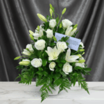 toma la imagen adjunta como base y genera k6is0kg3 1