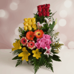 toma la imagen adjunta como base y genera u8co2 1