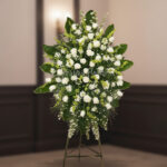 toma la imagen adjunta como base y genera y9j8 1