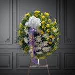 toma la imagen adjunta como base y genera zvds7l 1