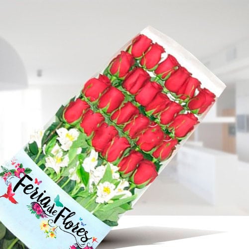 Caja de 24 Rosas Rojas