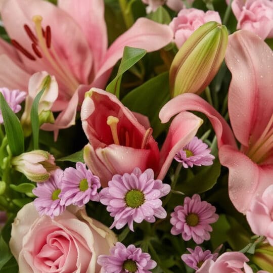 Primer plano extremo de un arreglo floral ANNA con rosas rosadas, lirios y margaritas, mostrando gotas de rocío y texturas hi