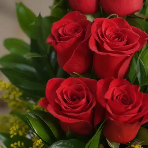 Primer plano extremo de rosas rojas vibrantes con gotas de rocío sutiles y hojas verdes, destacando la textura hiperrealista