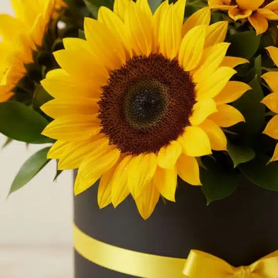 Primer plano extremo de un girasol vibrante con gotas de rocío, parte del arreglo floral MARISA en una caja negra con lazo am