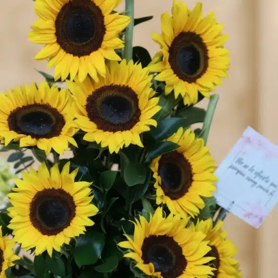 Primer plano extremo de un arreglo floral con girasoles Sunna, mostrando texturas hiperrealistas, gotas de rocío sutiles y co