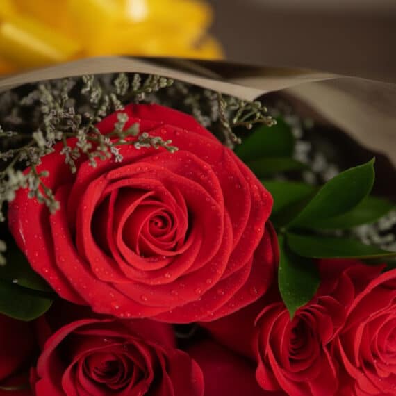 Primer plano extremo de un bouquet de rosas rojas con gotas de rocío, hojas verdes y un lazo amarillo, resaltando la textura