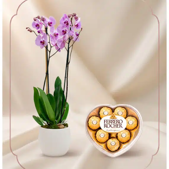 Orquídea GALA Premium con Chocolates Ferrero Rocher de Corazón Arreglo floral premium Orquídea GALA con flores moradas y chocolates Ferrero Rocher en caja de corazón, ideal para regalo.