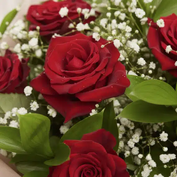 Primer plano extremo de un ramillete de rosas rojas vibrantes con gotas de rocío, hojas verdes y pequeñas flores blancas, des