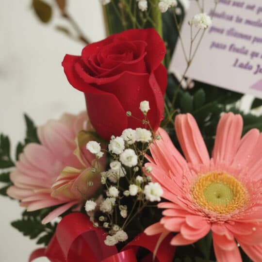 Primer plano extremo de un arreglo floral 'Solitario Pienso en Ti' con una rosa roja, gerberas rosadas y flores de gypsophila